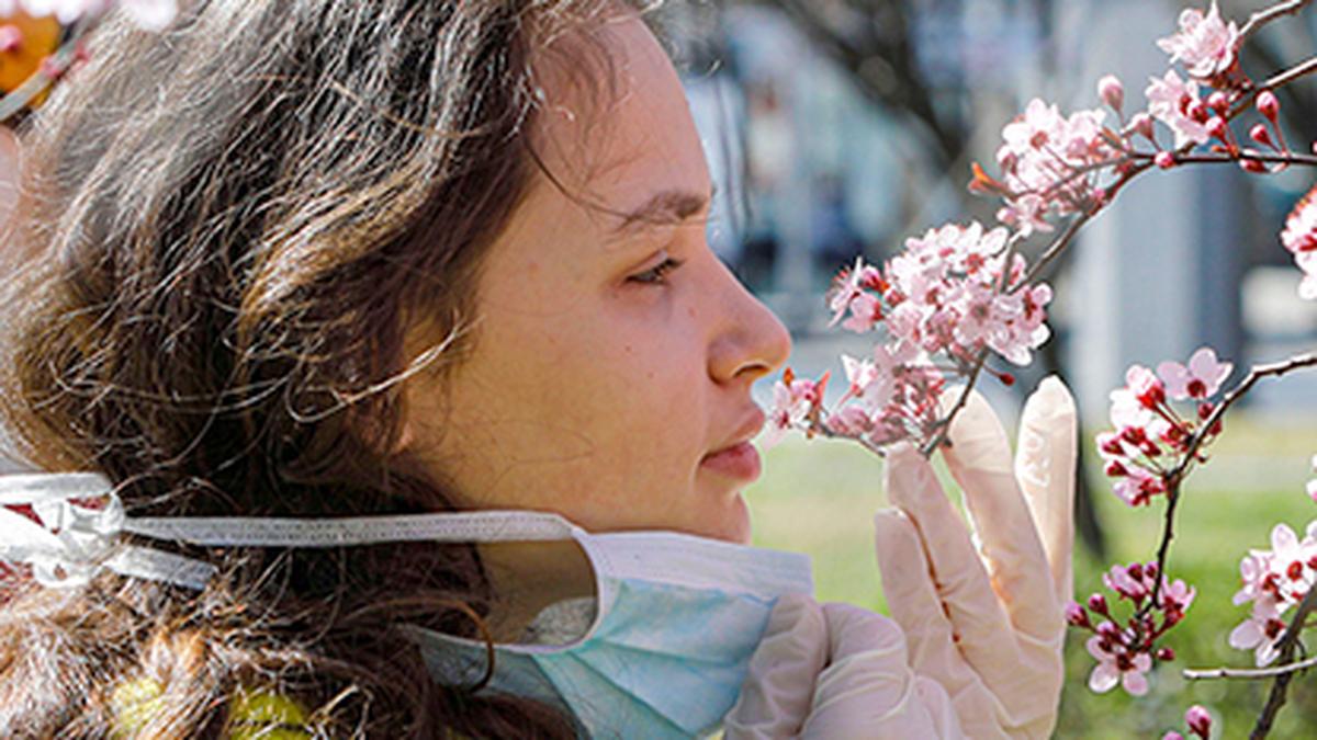 Cuánto tiempo Covid causa pérdida de olfato durante meses, incluso años